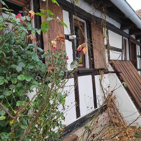 Petite Maison Alsacienne Entzheim Exterior photo