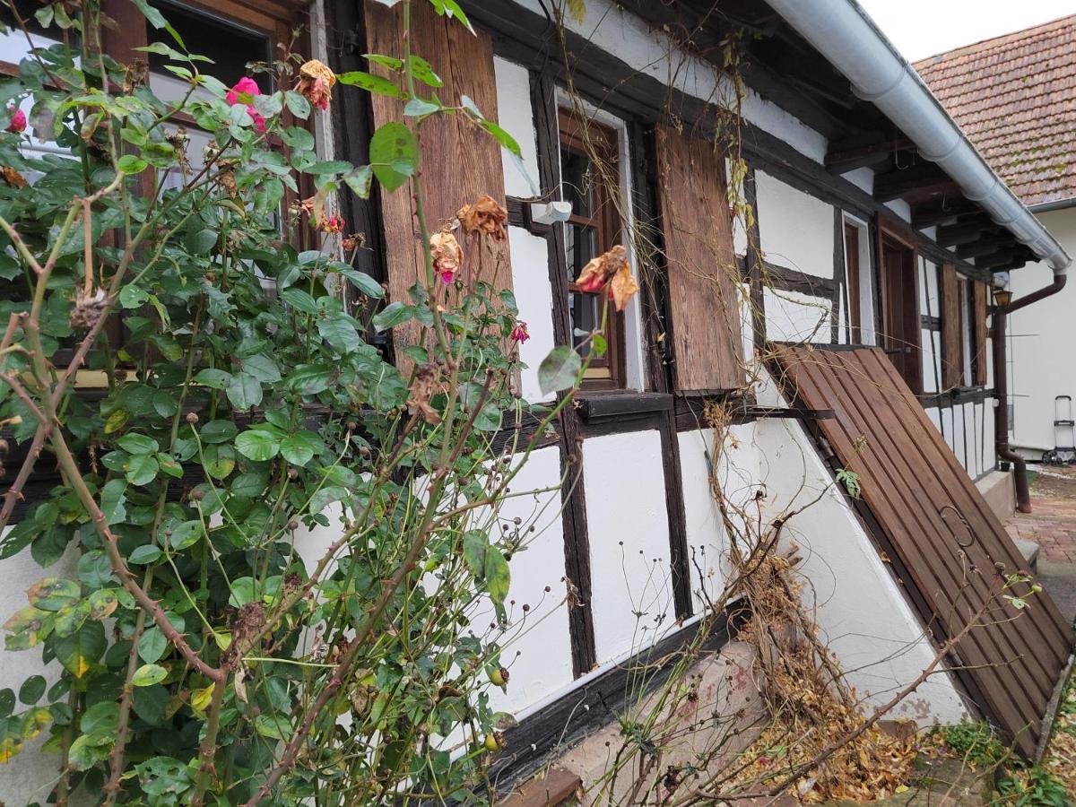 Petite Maison Alsacienne Entzheim Exterior photo